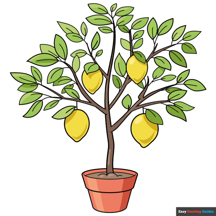 How to Draw a Lemon Tree Featured Image