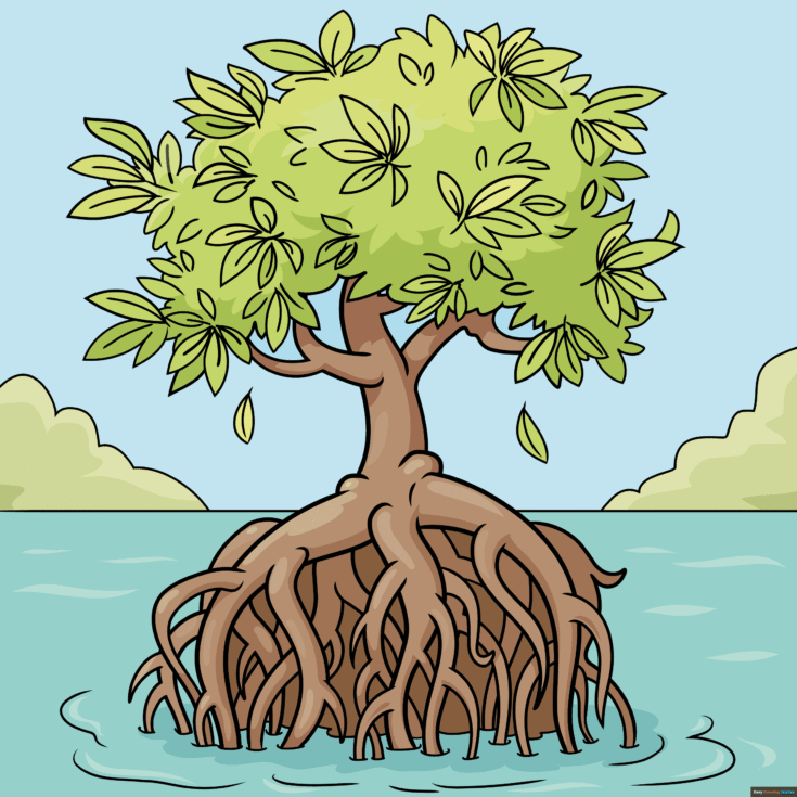How to Draw a Mangrove Tree Featured Image