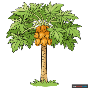 How to Draw a Papaya Tree Featured Image