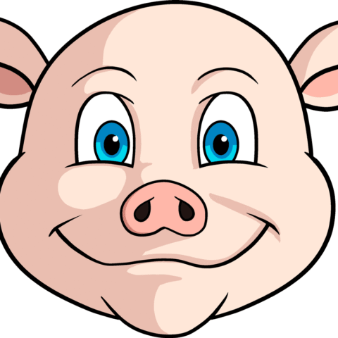 How to Draw a Pig Face Featured Image
