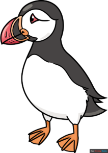 How to Draw a Puffin Featured Image