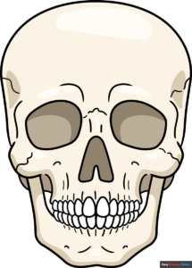 How to Draw a Realistic Skull Featured Image