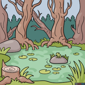 How to Draw a Swamp Featured Image