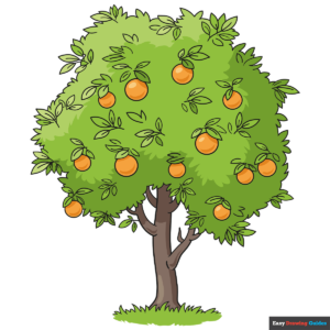 How to Draw an Orange Tree Featured Image