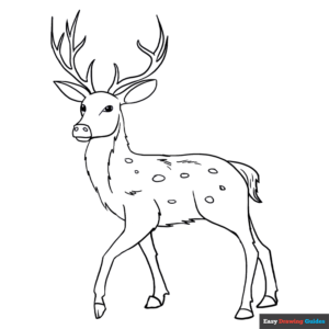 Deer Coloring Page | Easy Drawing Guides
