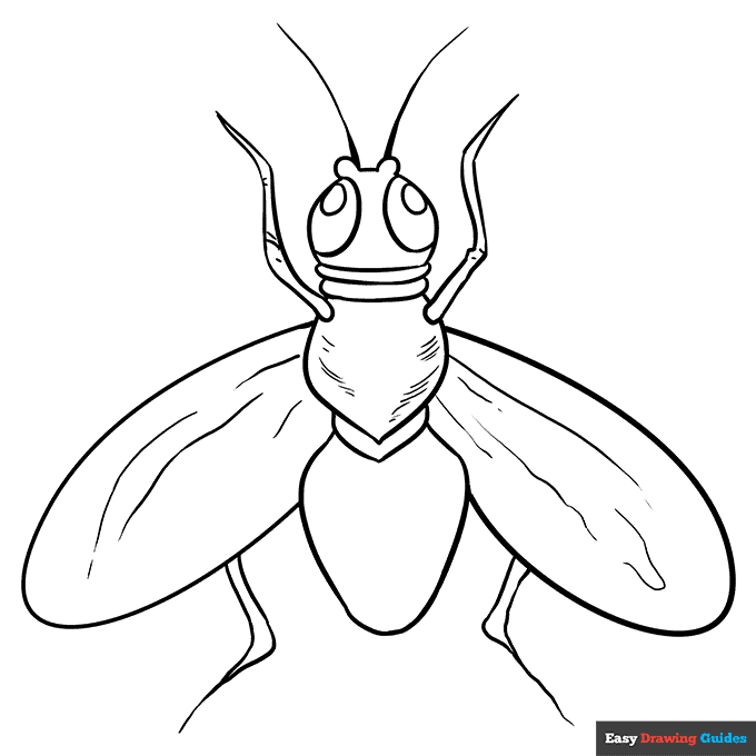 Flies Coloring Pages