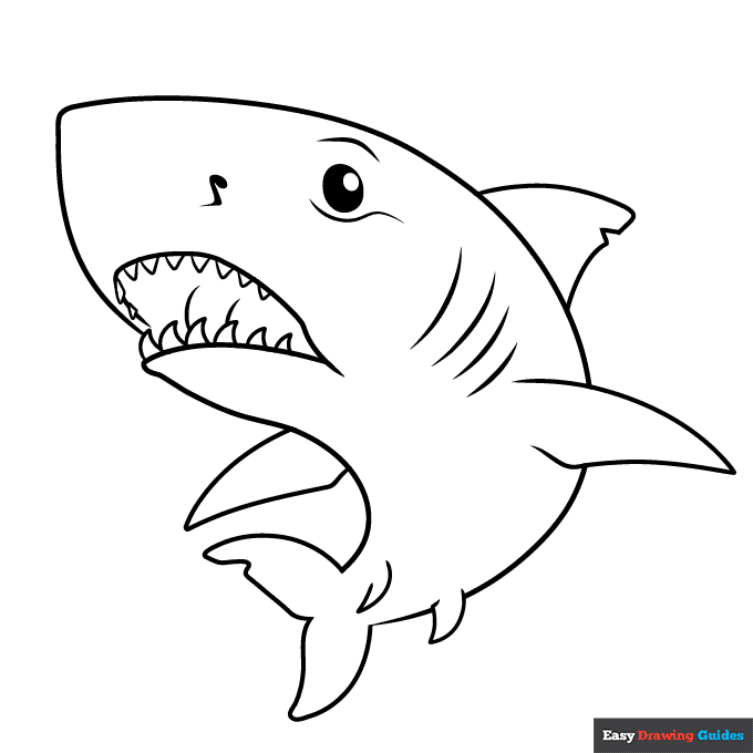 great white sharks drawings