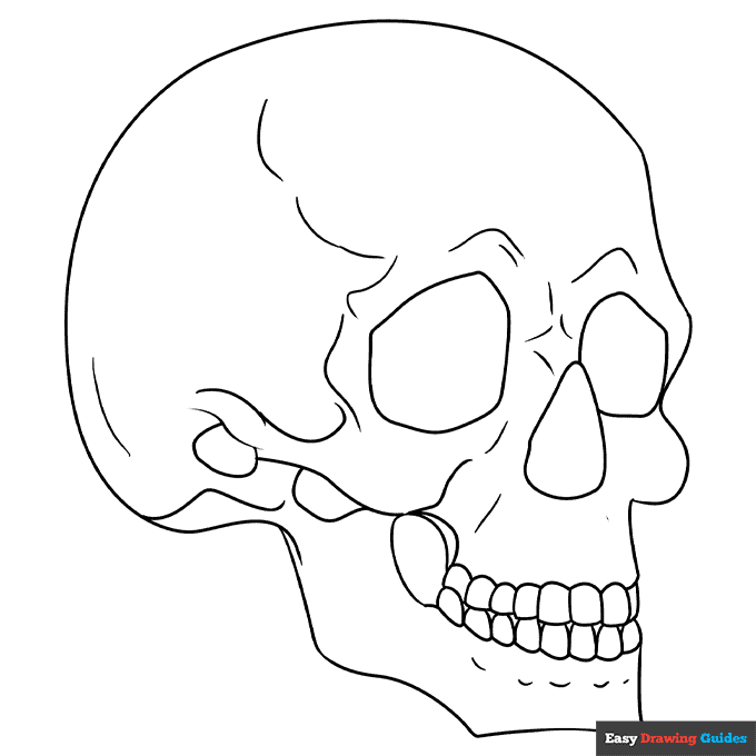 skeleton head coloring pages