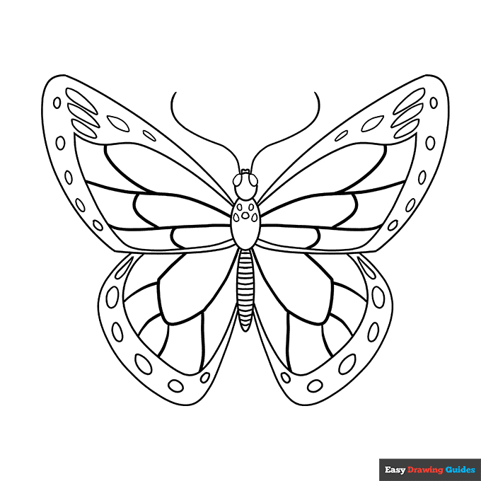 parts of an insect coloring page