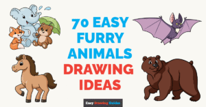 70 Easy Furry Animals Drawing Ideas - Featured Image