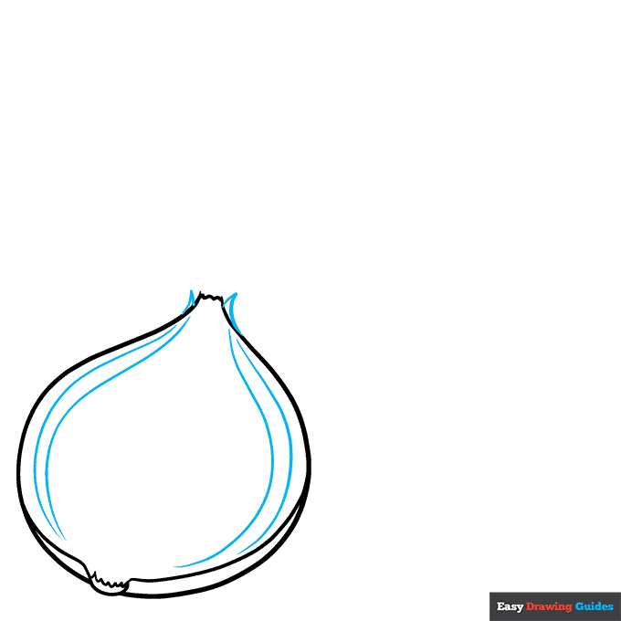 Onion Drawing Easy At Brodie Bolden Blog Onion Drawing Easy At Brodie Bolden Blog