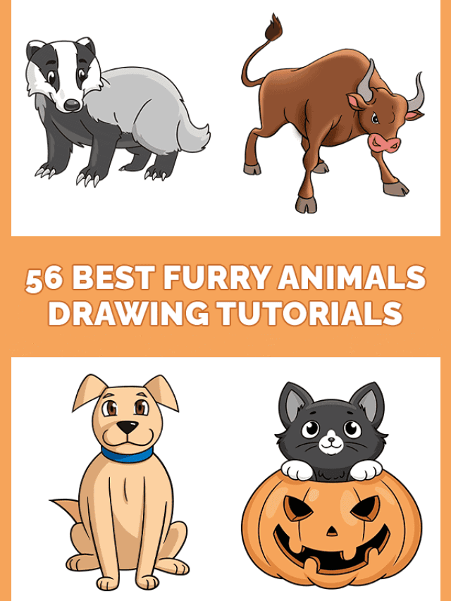 51-best-furry-animals-drawing-tutorials-pinterest-design1-600x900