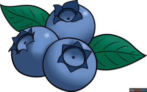 How to Draw a Blueberry Featured Image