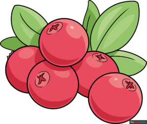 How to Draw a Cranberry Featured Image