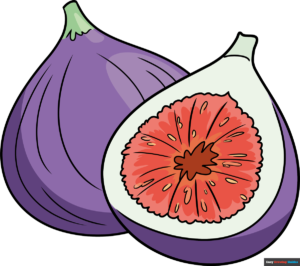 How to Draw a Fig Featured Image