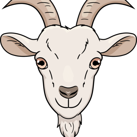 How to Draw a Goat Face Featured Image