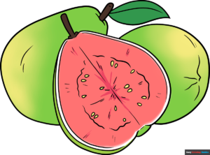 How to Draw a Guava Featured Image