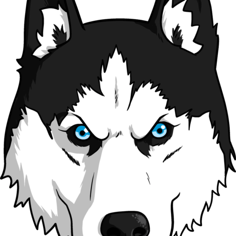 How to Draw a Husky Face Featured Image