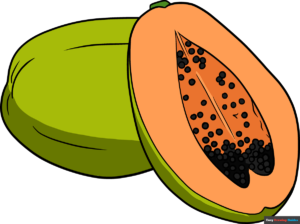 How to Draw a Papaya Featured Image