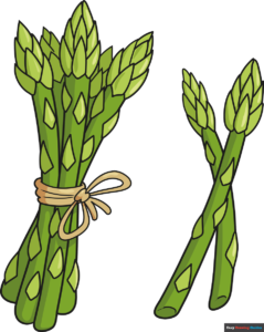 How to Draw Asparagus Featured Image