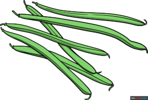 How to Draw Green Beans Featured Image