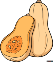 How to Draw Squash