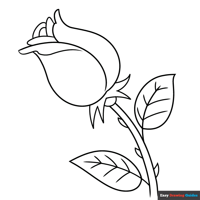 1362 easy step by step rose drawing for kids coloring page