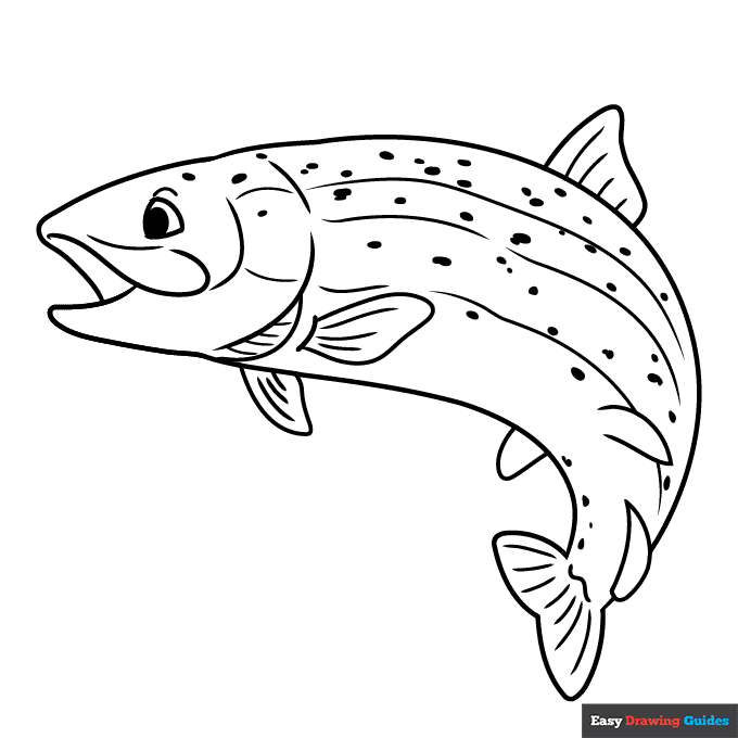 Rainbow Trout Coloring Page Easy Drawing Guides