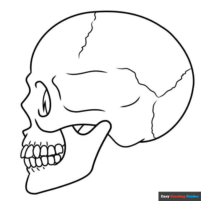 Free printable skull in side profile coloring page