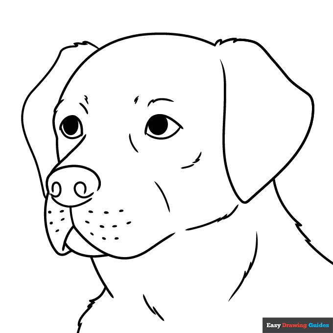 Puppy Face Coloring Page