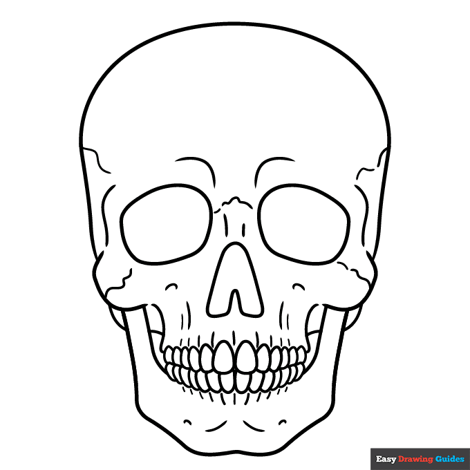 Free printable realistic skull coloring page