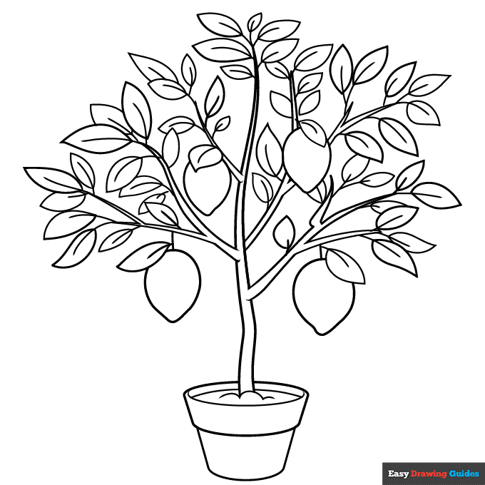 Free Printable Tree Coloring Pages For Kids Free Printable Tree Coloring Pages For Kids