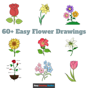 Easy Flower Drawings