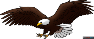 How to Draw a Bald Eagle Flying Featured Image