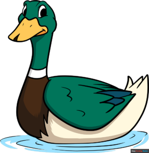 How to Draw an Easy Mallard Duck Featured Image