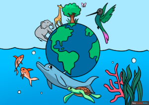 How to Draw Biodiversity Featured Image