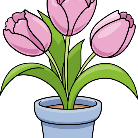 How to Draw Tulips in a Pot Featured Image