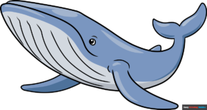 How to Draw a Blue Whale Featured Image