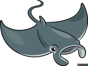 How to Draw a Manta Ray Featured Image