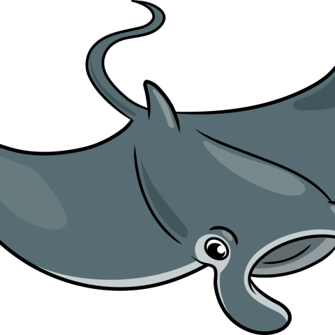 How to Draw a Manta Ray Featured Image