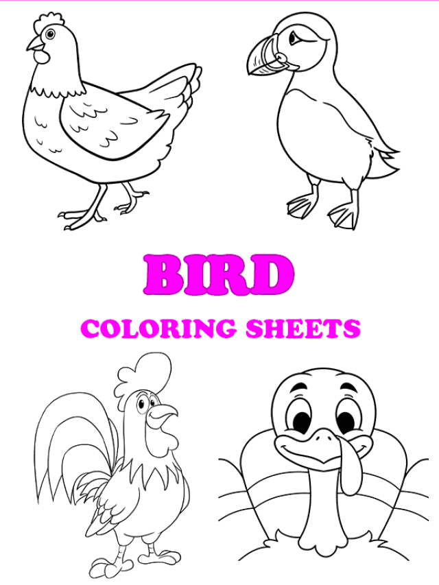 Free printable bird coloring pages - pinterest image