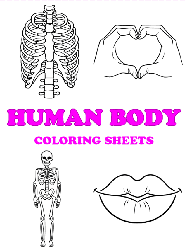 Human Body Coloring Sheets for Kids - Pinterest image