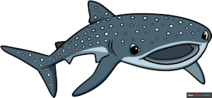 How to Draw a Whale Shark Featured Image
