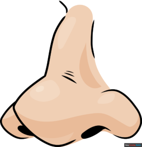 How to Draw a Cartoon Nose Featured Image