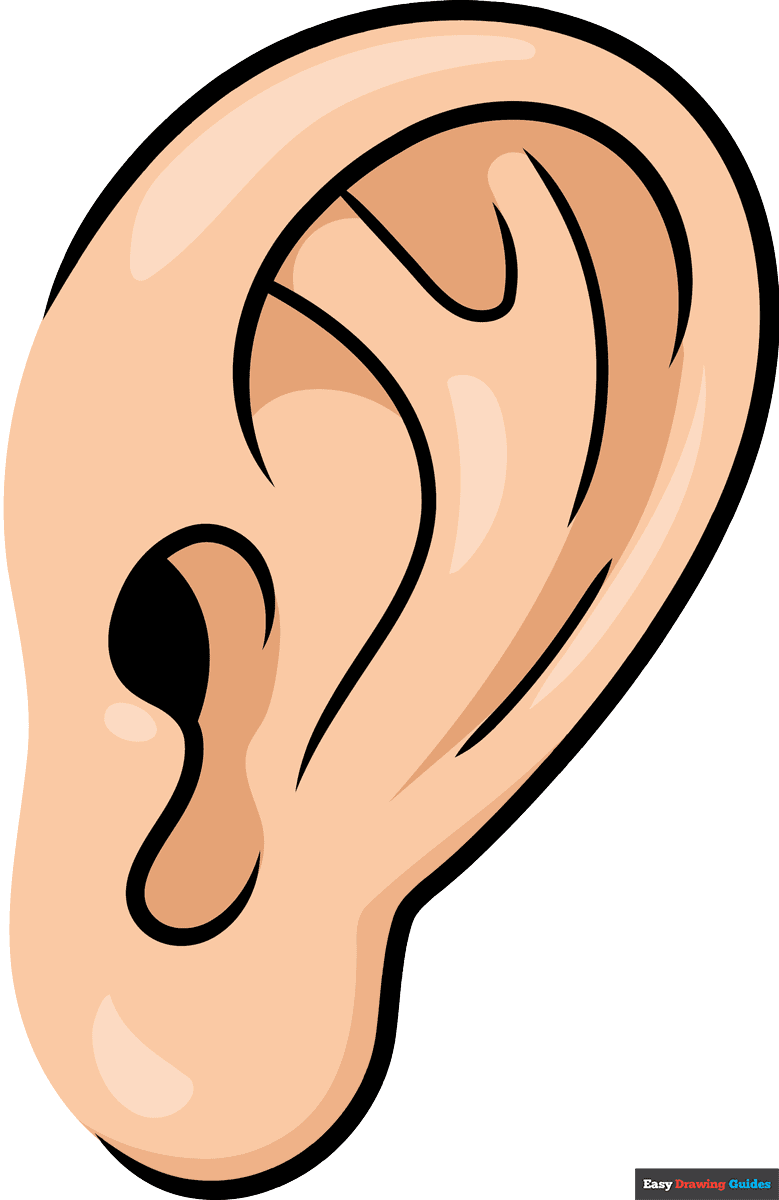 How To Draw A Cartoon Ear Really Easy Drawing Tutorial