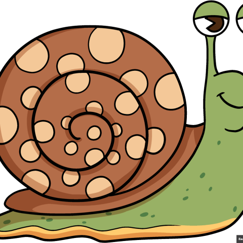 How to Draw a Cartoon Snail Featured Image