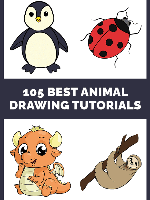 Best Animal Drawing Tutorial Pinterest Image
