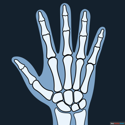 How to Draw an X-Ray FEatured Image