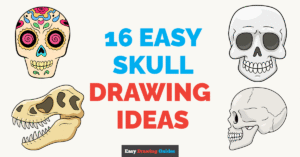 16 easy skull drawing tutorials featured image