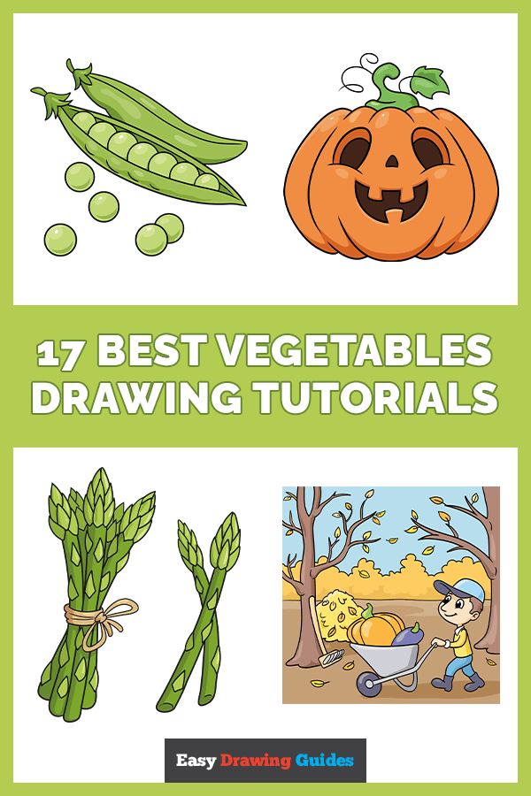 17 easy vegetables drawing tutorials pinterest image